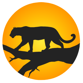 leopad trail Gurgaon leopard trail logo